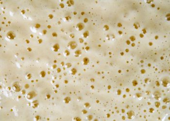 fermentazione alimenti