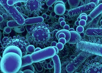 microbiota umano, microbioma umano