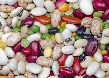 Proteine dei legumi