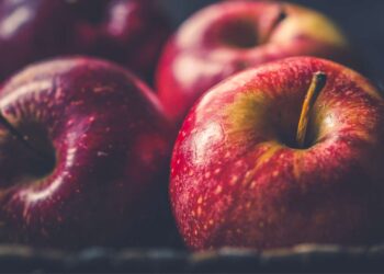 power ultrasound for fruit preservation