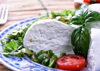 mozzarella di bufala
