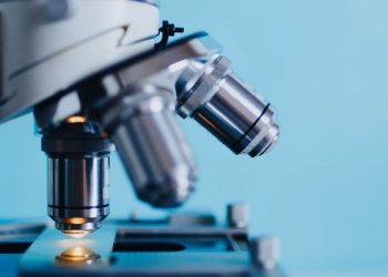 microbiologia predittiva