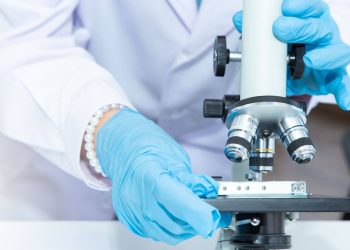 Analisi microbiologica, Qualità alimentare, Sicurezza igienico-sanitaria