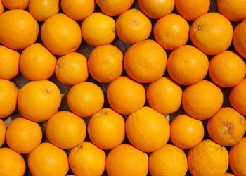 miglioramento genetico piccoli frutti, tecnologie genetiche