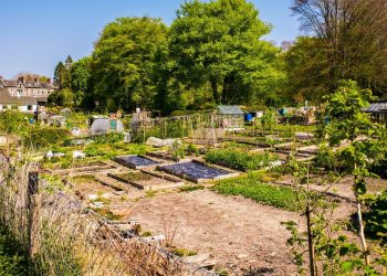 sottoprodotti alimentari