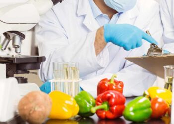 design food structure