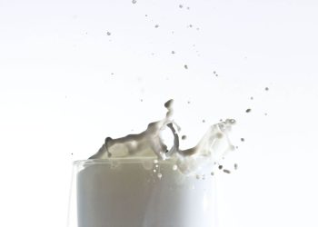 microrganismi sporigeni