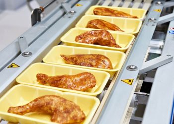 Radiazioni ionizzanti e irradiazione degli alimenti (food irradiation:)