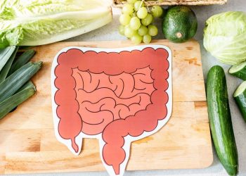 microbiota umano intestinale