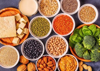 Plant based proteins