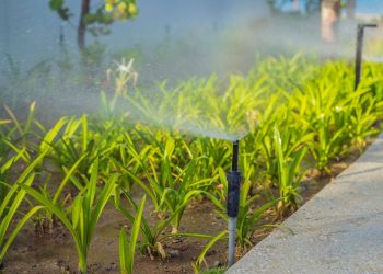 agriwater copertina innoveat