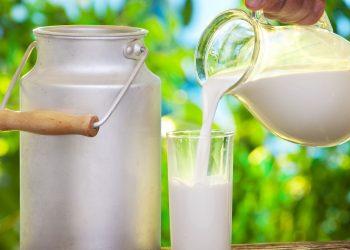 grassi caseari copertina