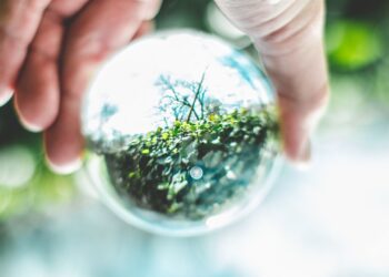 A high-added value product from waste recovery: Cosmects