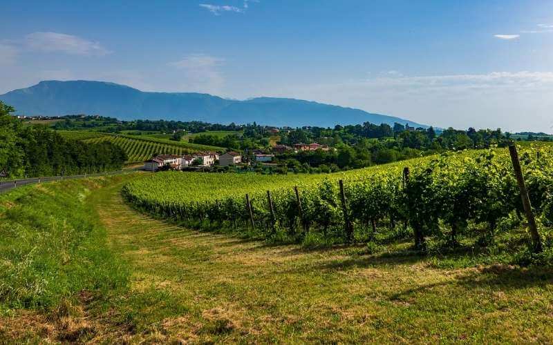 colline prosecco DOC