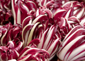 esistono benefici del gusto amaro radicchio