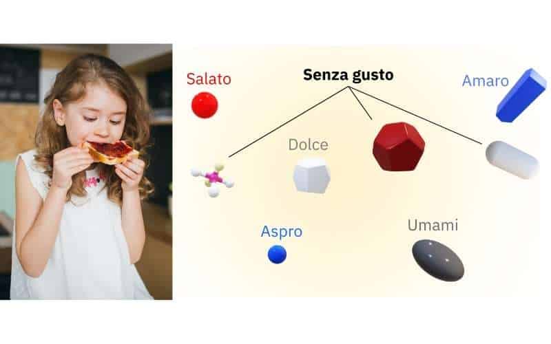 sistemi sensoriali umani