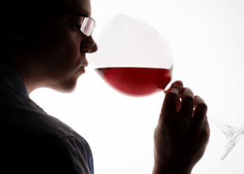 sistemi intelligenti per analisi alimentare