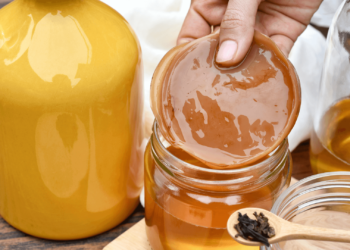 cos'è il kombucha, benefici del kombucha