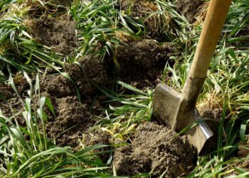 EcoDif: come ripristinare la fertilità dei terreni agricoli