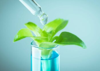 biostimolanti da idrolizzati proteici