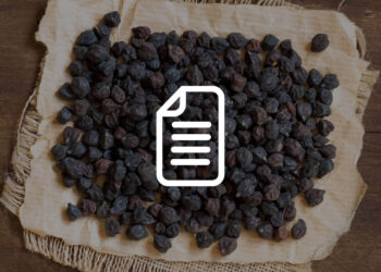 effetti della fermentazione su bevande a base di legumi