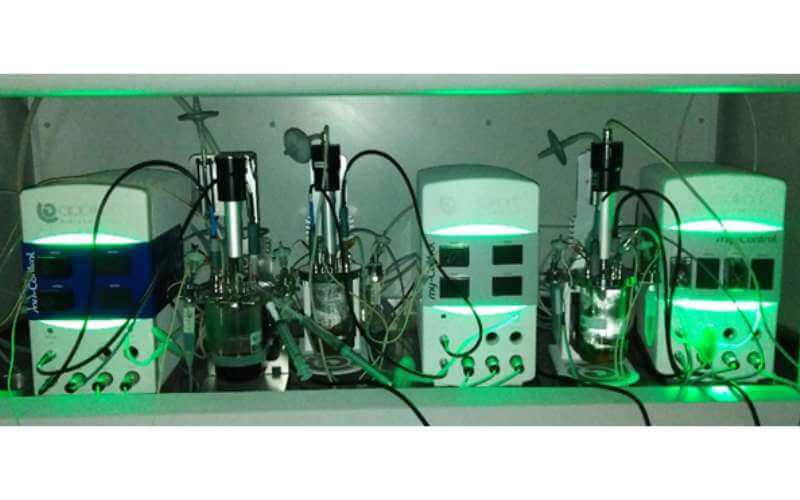 setup laboratorio MICODE microbiota intestinale in vivo