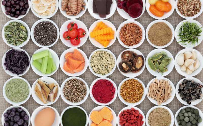 studiare il microbiota intestinale per comprendere la funzionalità degli alimenti