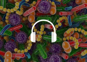 MICODE microbiota intestinale in vitro