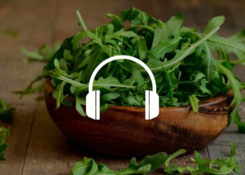 old friend hypothesis