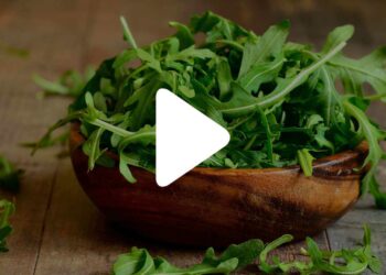 Old Friend Hypothesis Giacomo Mantegazza