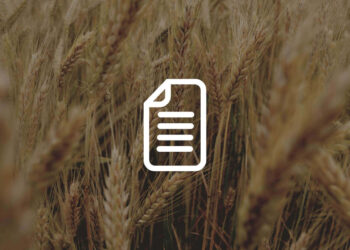 BLOG le proteine ATI nel grano - Food Hub