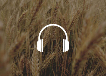 proteine ATI del grano