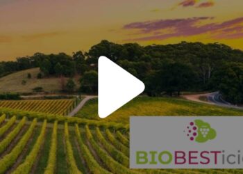 BIOBESTicide il pesticida dalla melassa