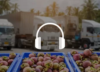 Reti alimentari alternative