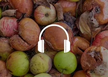 I sottoprodotti nell’alimentazione dei piccoli ruminanti: il caso delle Buccette di Cacao