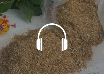 Da scarti a fonte di nutrienti funzionali