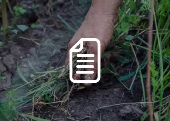 Gestione delle infestanti