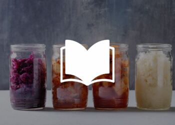alimenti fermentati articolo magazine
