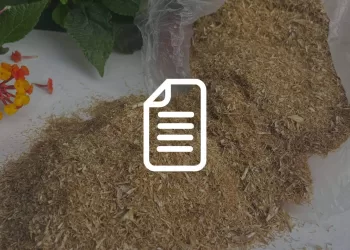 Radichette di malto, micronutrienti delle radichette