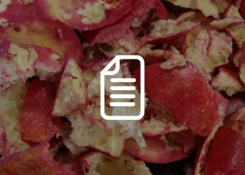 Estrazione sostenibile di antiossidanti naturali, estrazione sostenibile di antiossidanti, scarti di produzione