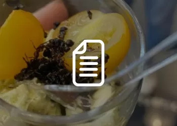 Insetti edibili: inquadramento normativo e proprietà tecnologiche