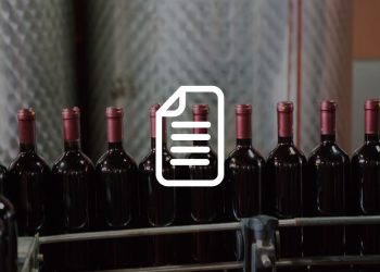 Lentilactobacillus hilgardii: impatto sulla qualità del vino