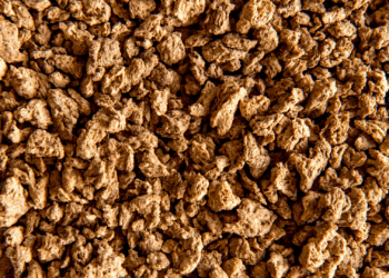 proteine testurizzate