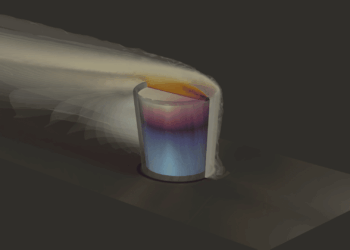 Che cos’è la simulazione multifisica, Simulazione multifisica, food engineering