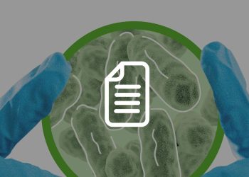 Il nomadismo di Lactiplantibacillus plantarum e la rilevanza di questa specie come modello in studi di biologia e biotecnologie alimentari 