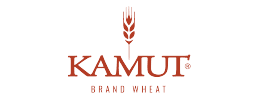 LOGO-31